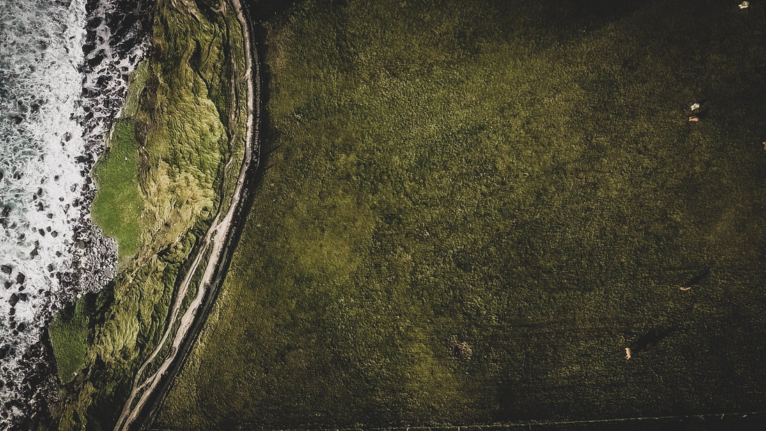 Songwriting the Treasures of Scripture